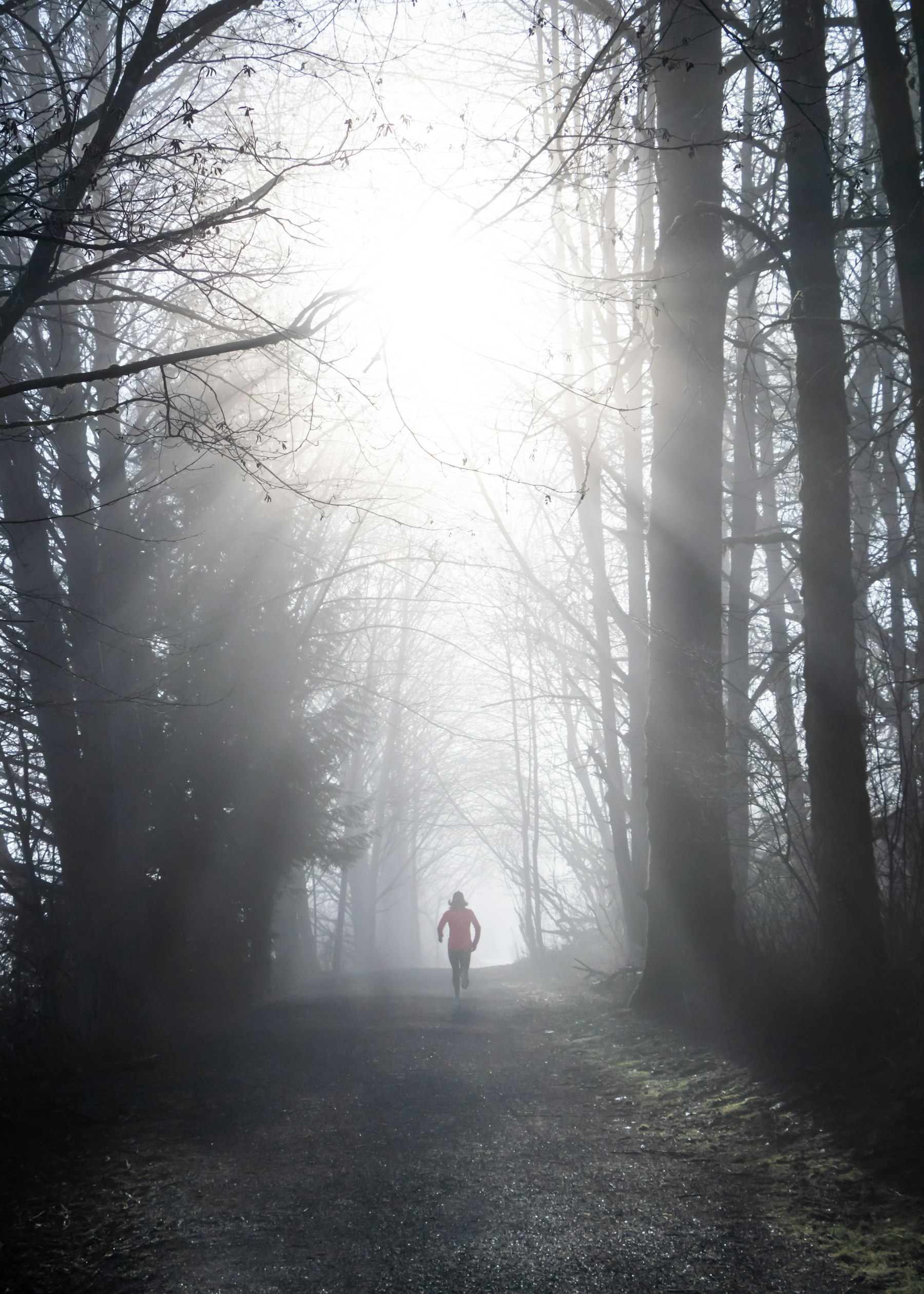 Person moving along a wooded trail, representing regular physical activity.