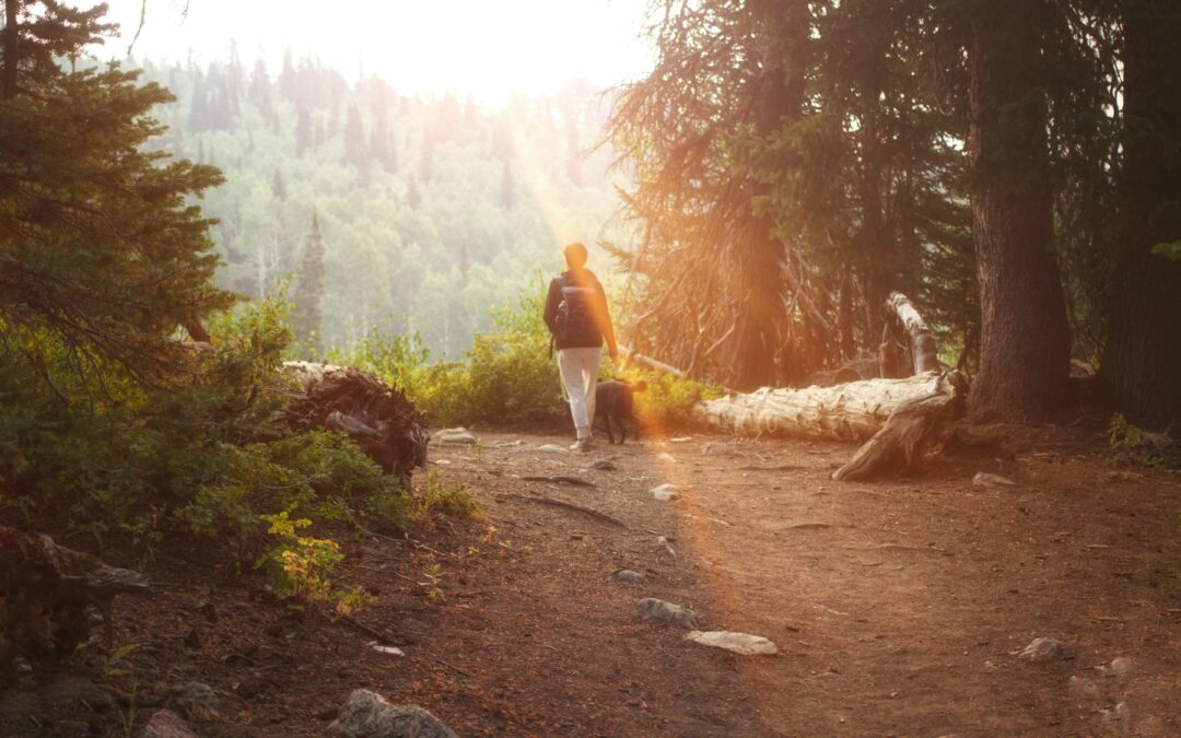 Healthy Weight Is More Than a Number: Four Habits That Work Together